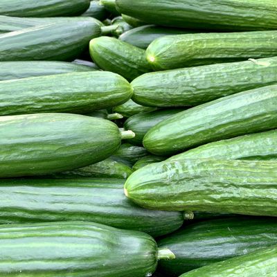Fresh green cucumbers — photo by Matthias Zomer on Pexels