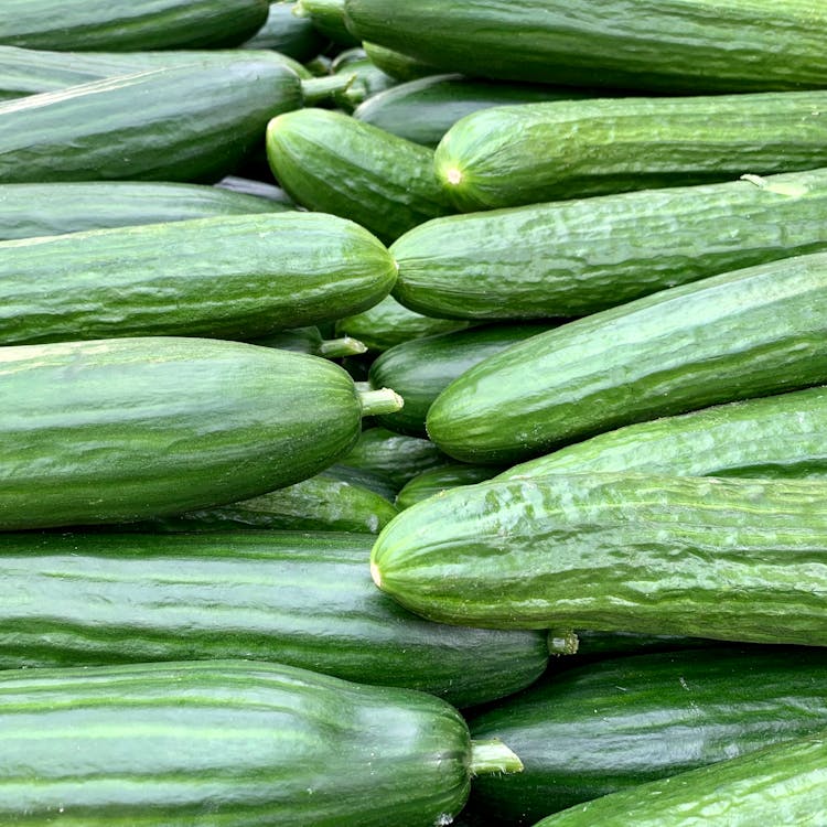 Pile Of Cucumbers