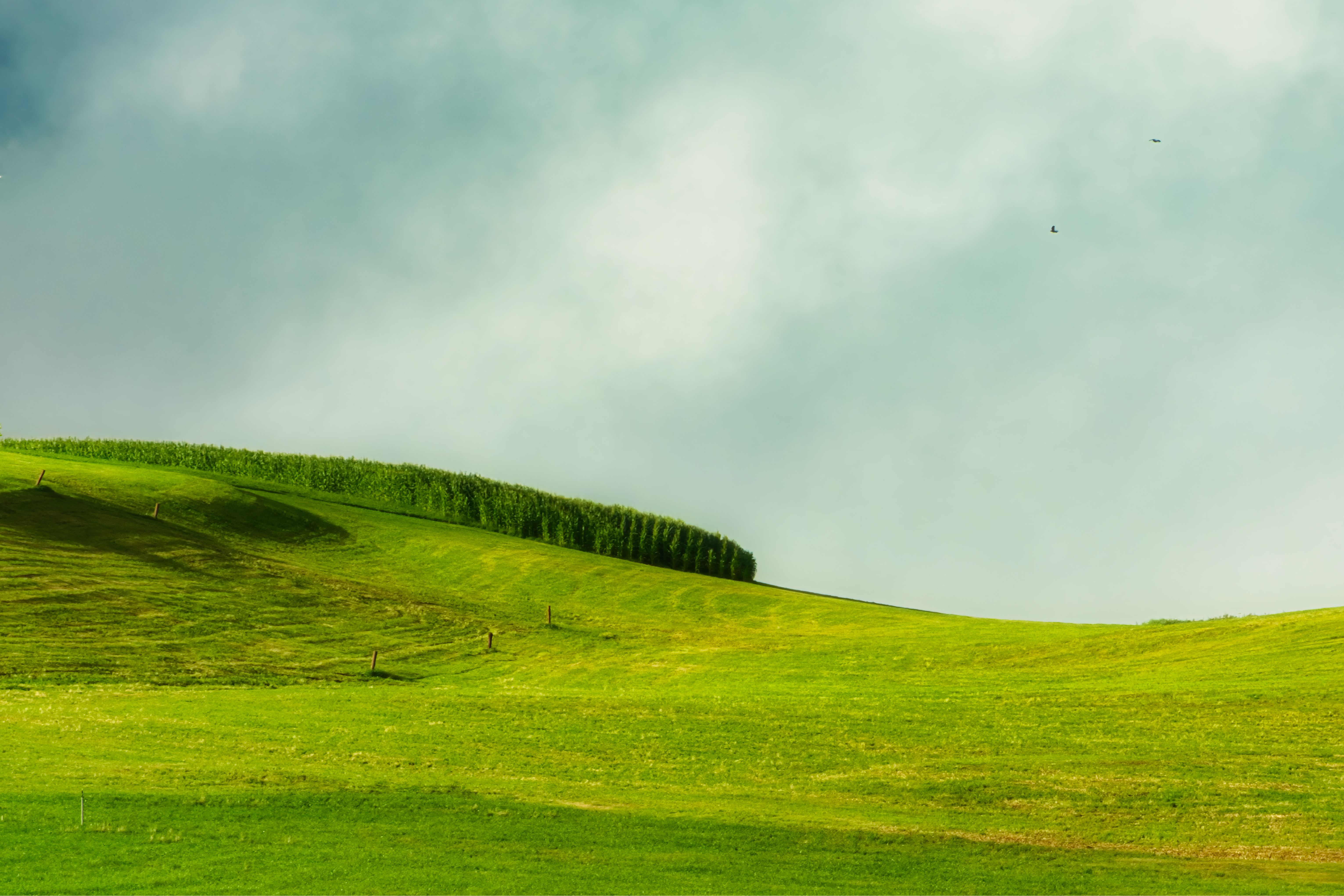 Expansive green hills under a cloudy sky in Trentino-Alto Adige, Italy.