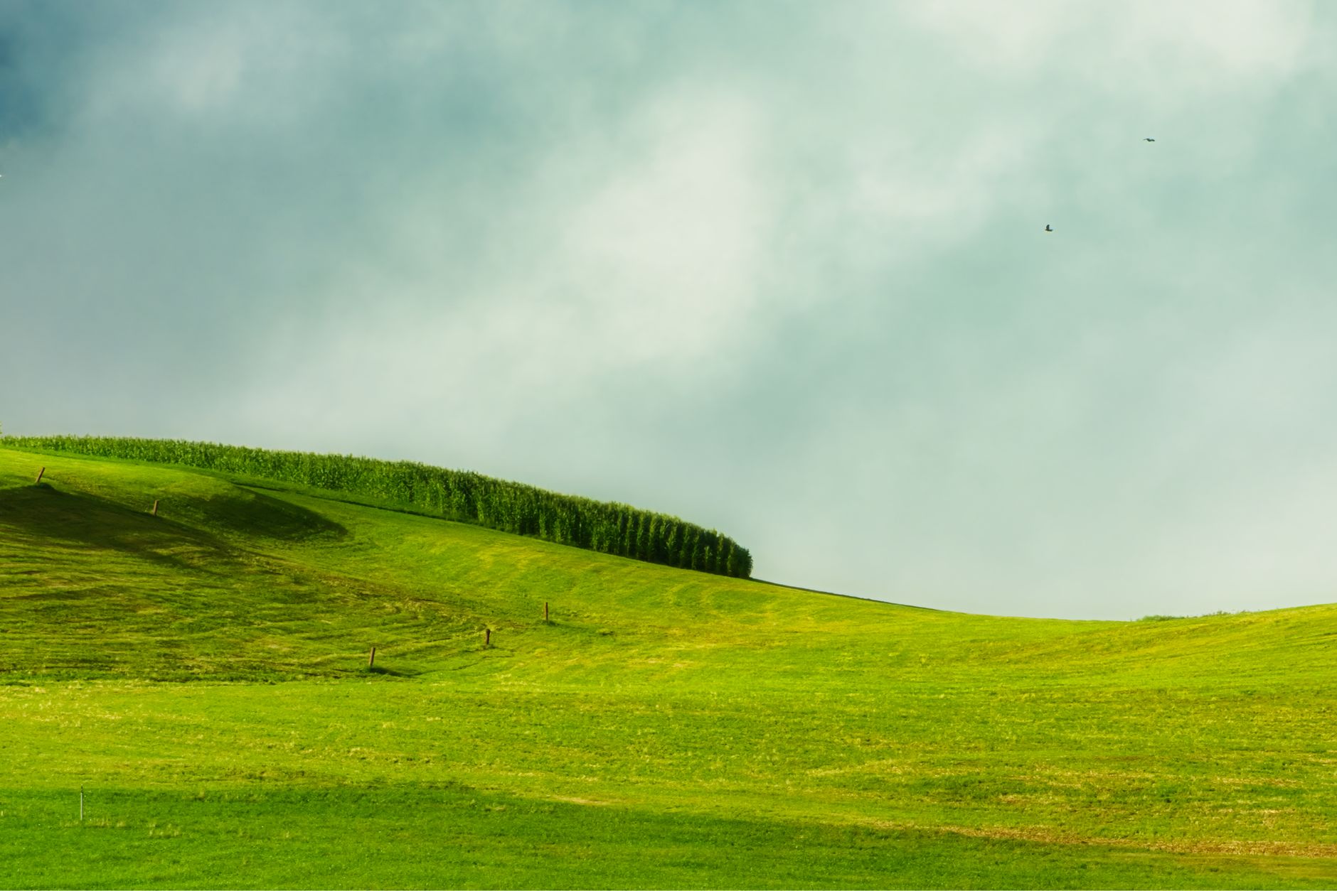 Expansive green hills under a cloudy sky in Trentino-Alto Adige, Italy.