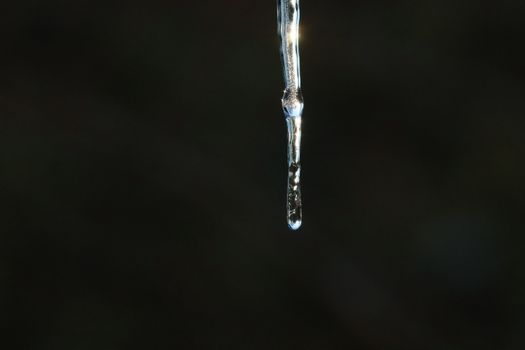 A detailed close-up of an icicle dripping water, captured in vibrant light.