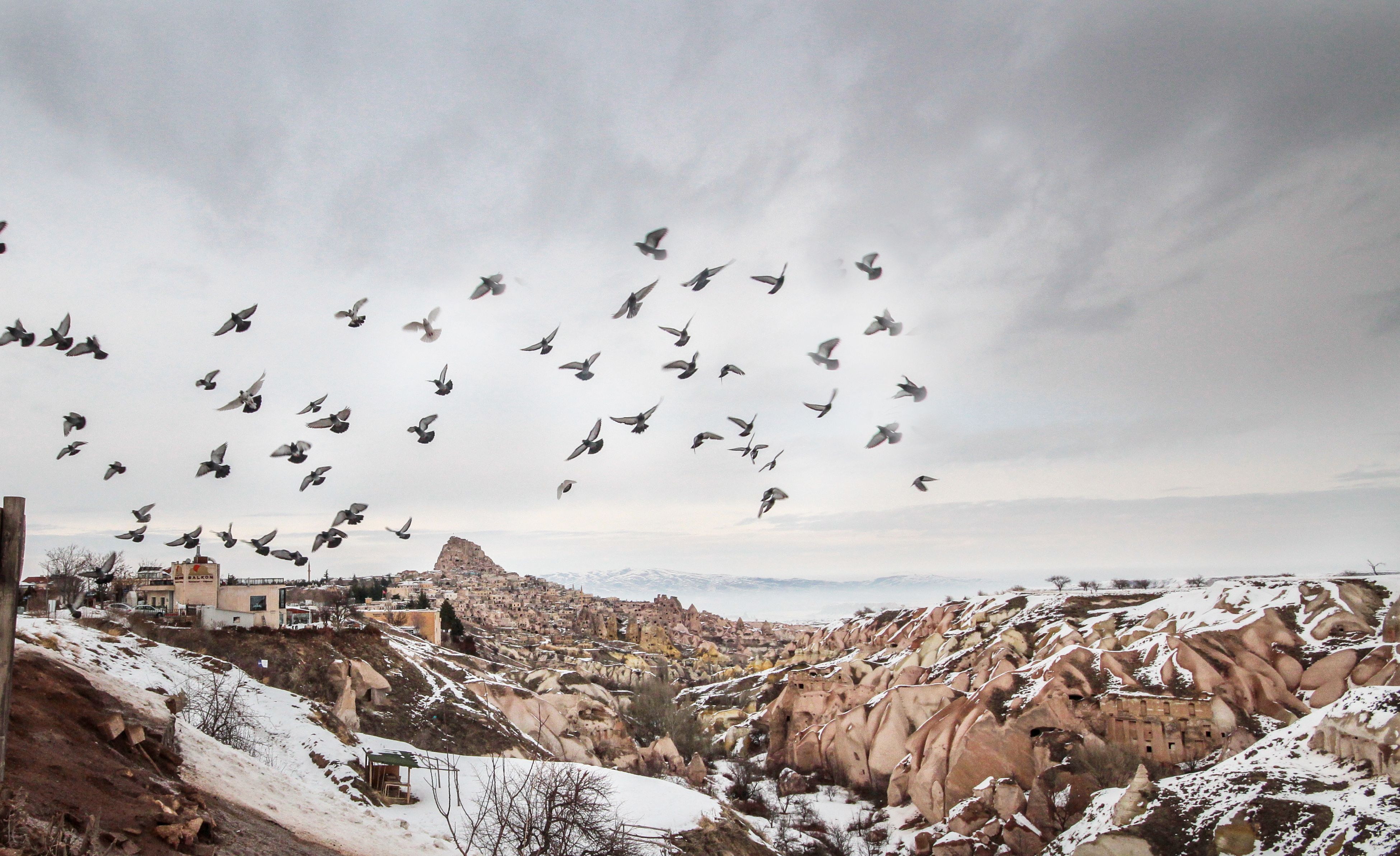 Pigeon Valley