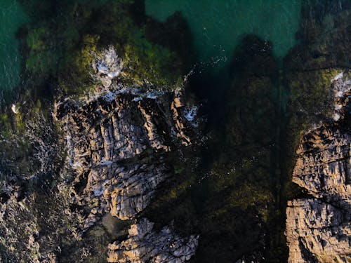 Základová fotografie zdarma na téma dron