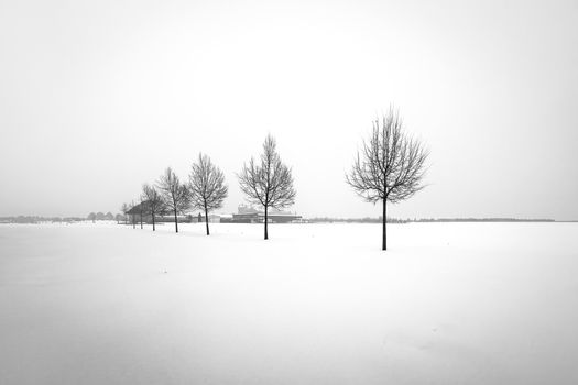 A minimalist winter scene with bare trees on a snowy field, evoking calm and simplicity.