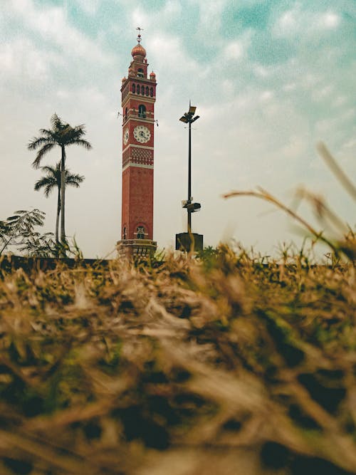 Red and White Clock Tower Near Trees