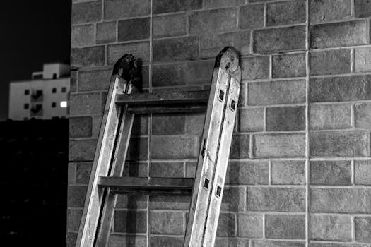 A monochrome image of a metal ladder leaning against a brick wall with a city background.