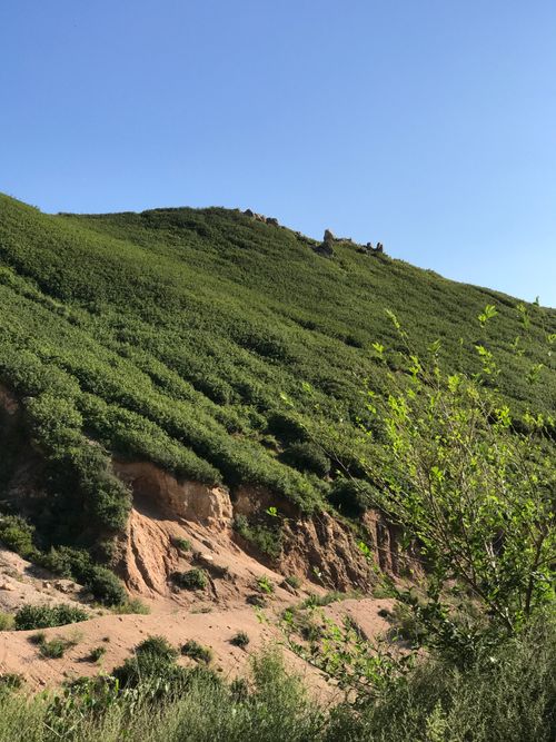 Free Lush green hill with exposed soil under a clear blue sky, capturing serene nature. Stock Photo