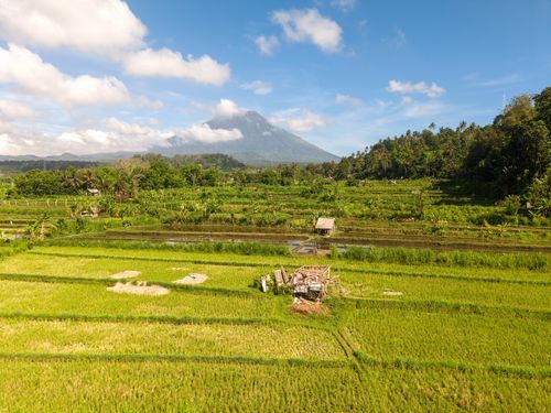 Free A beautiful aerial view of lush rice fields in Bali with Mount Agung in the background. Stock Photo
