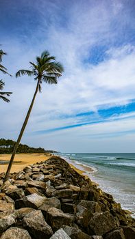 Tropical beach view with palm trees and rocky shore under a vibrant blue sky.