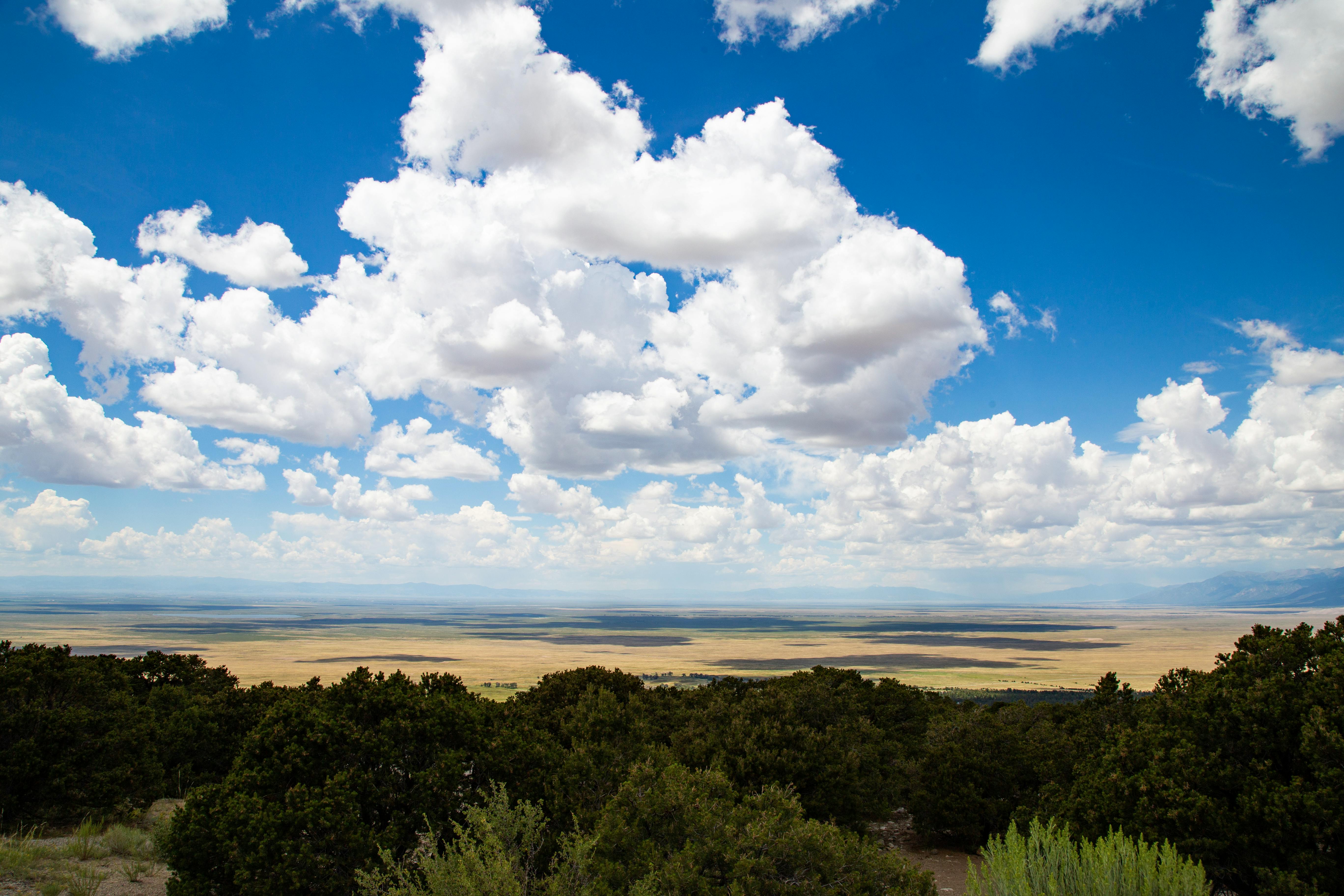 Difference Between Red And Gray Corned Beef Difference