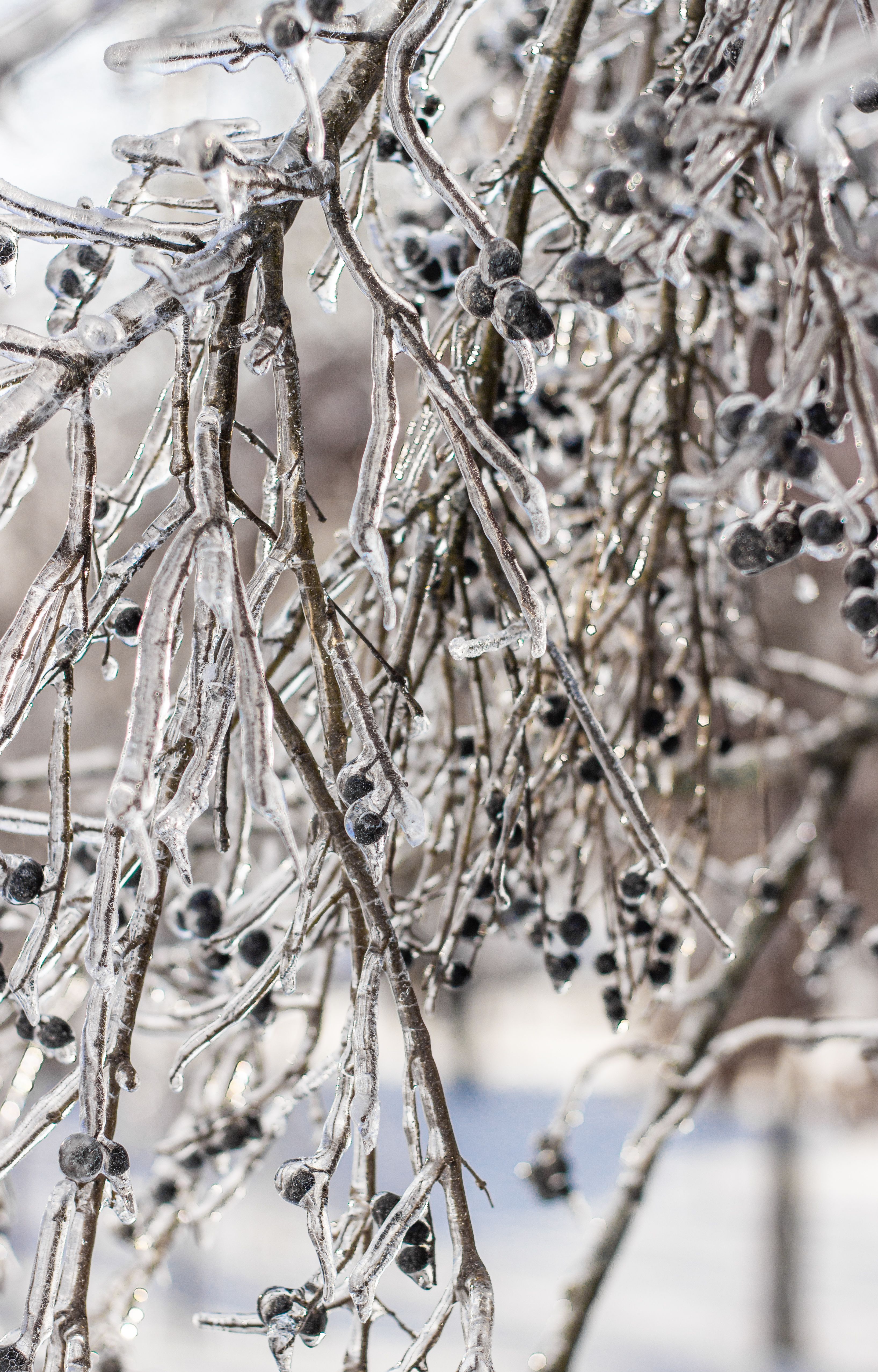 Cold+Pfp Photos, Download The BEST Free Cold+Pfp Stock Photos & HD Images