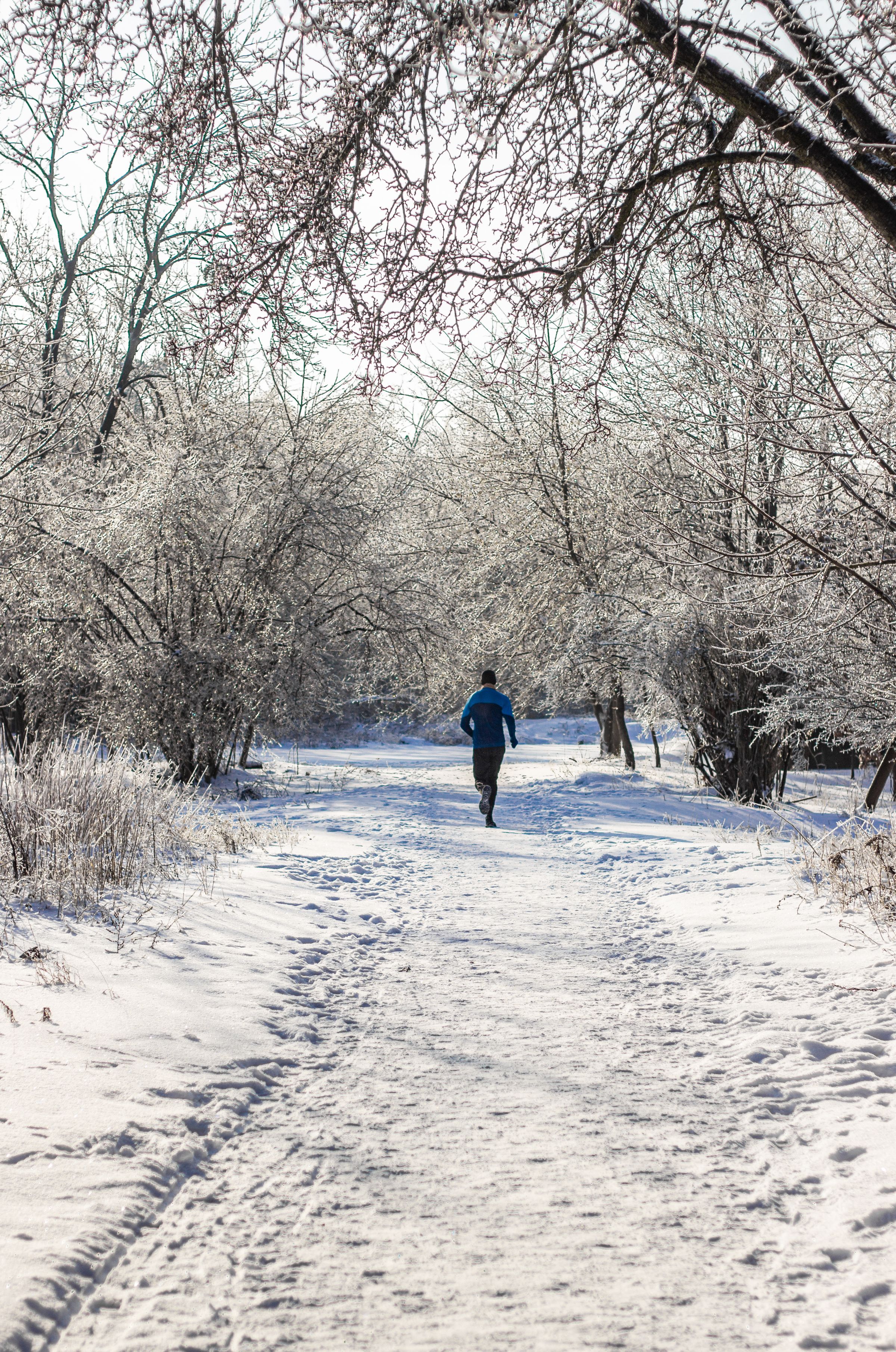 Runner on a snowy path in a winter forest at sunrise
