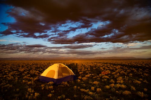 Set-up Brown Tent Surrounded by Flowers Under Cloudy Sky during Golden Hour