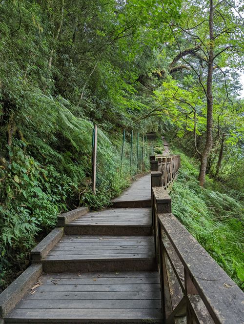 Free Explore a serene wooden staircase surrounded by lush greenery on a forest trail in Taiwan. Stock Photo
