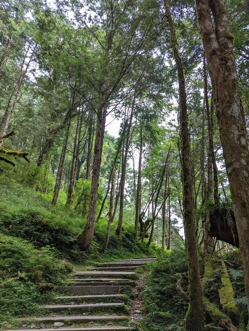 Free Serene forest path with lush greenery in Yilan County, Taiwan. Stock Photo