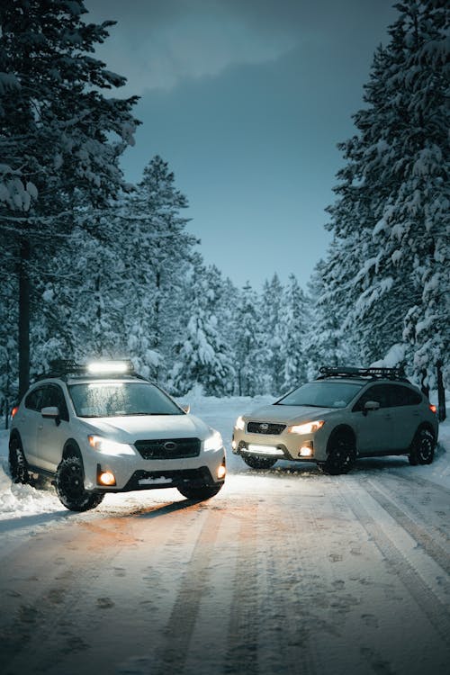 Dois Veículos Suv Brancos Em Uma Estrada Coberta De Neve
