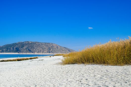 Peaceful view of a sandy beach, reeds, and a mountain under a clear blue sky in Burdur, Türkiye.
