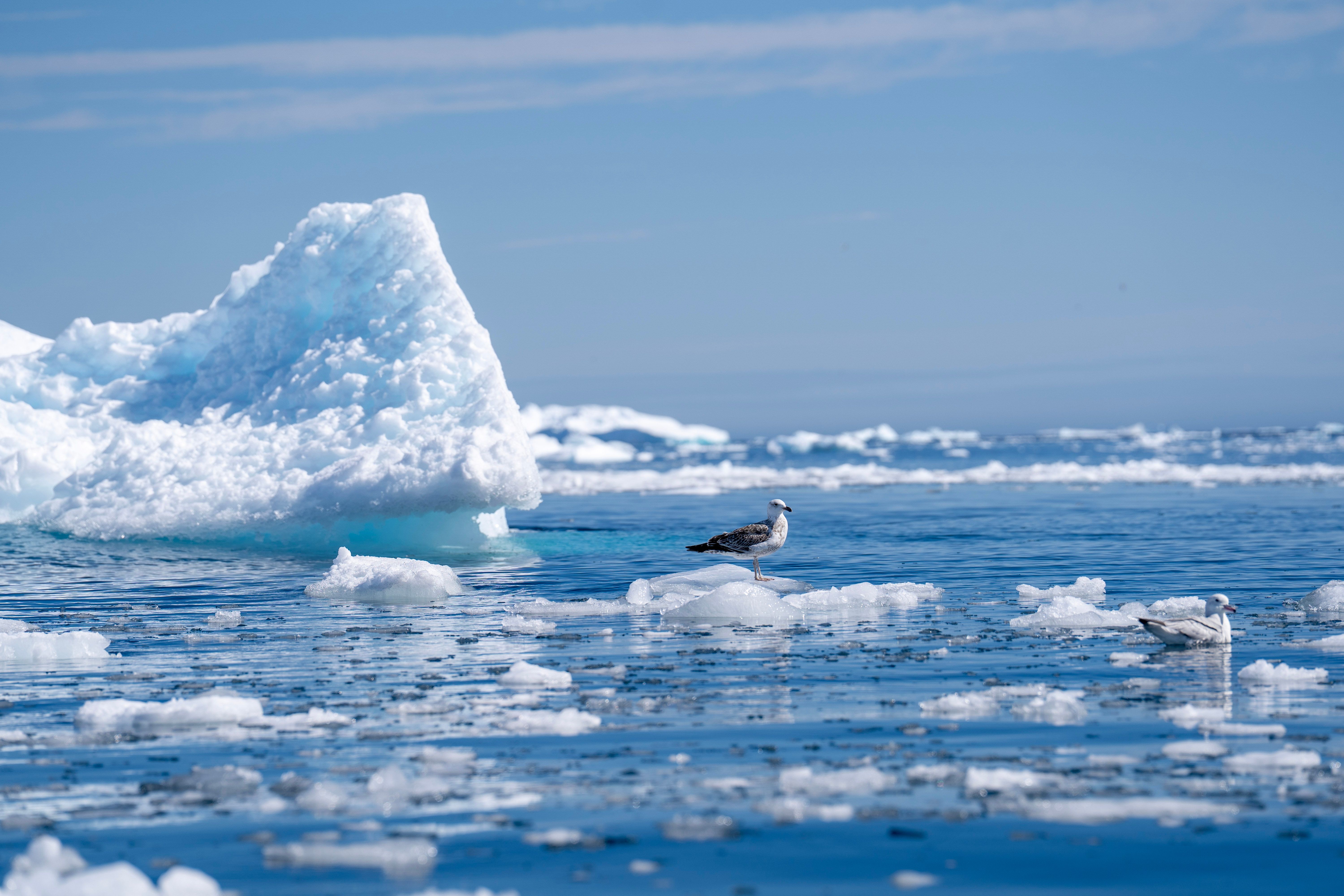 Featured image for: 7 Key Insights on Arctic Geopolitics, Resources, and Military Presence