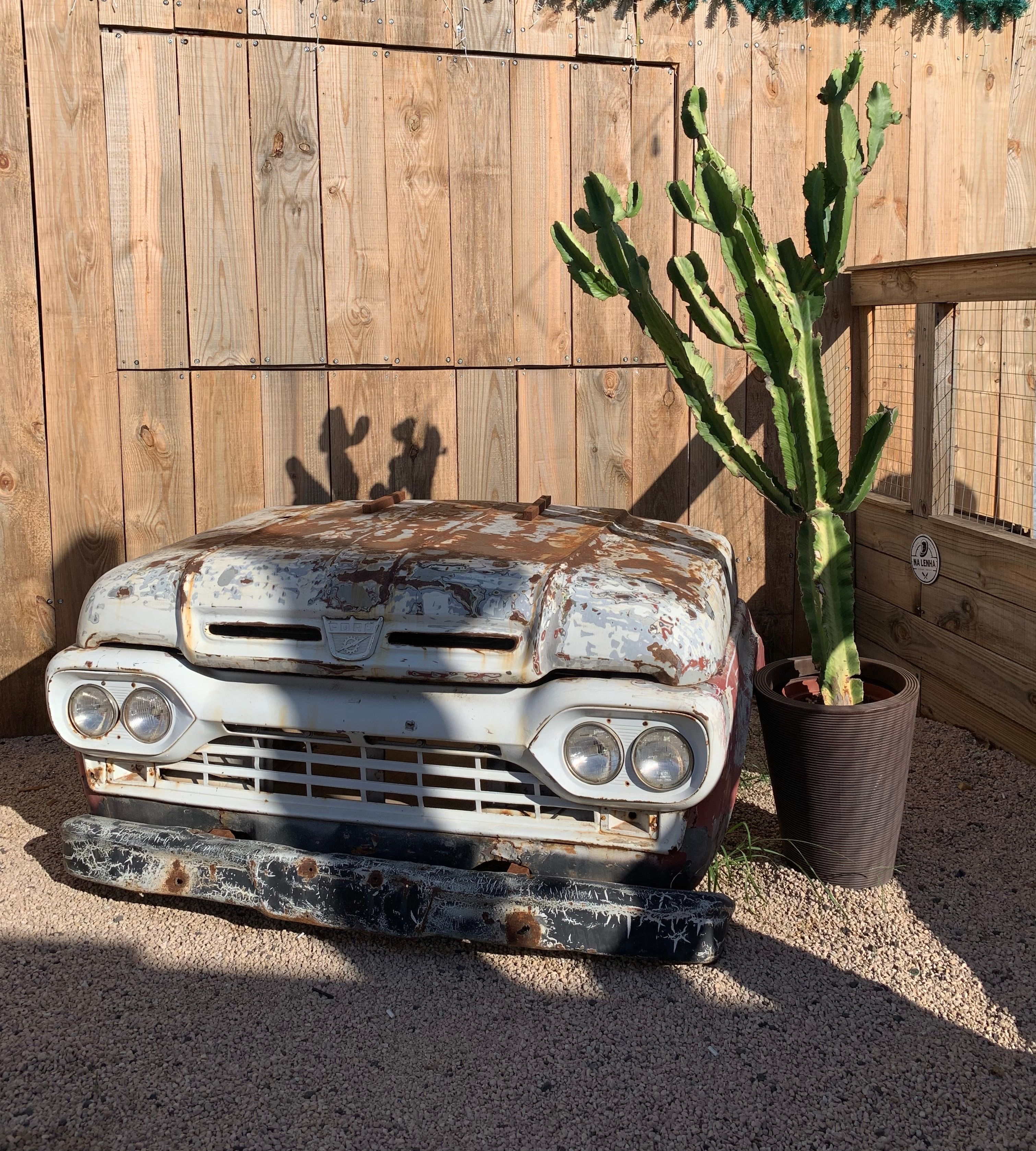 Metal Cactus Yard Decor Photos, Download The BEST Free Metal Cactus Yard  Decor Stock Photos & HD Images