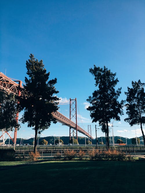 Suspension Bridge Near Trees