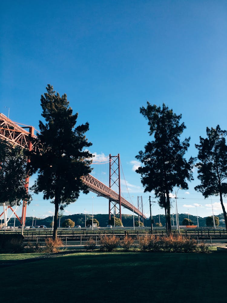 Suspension Bridge Near Trees