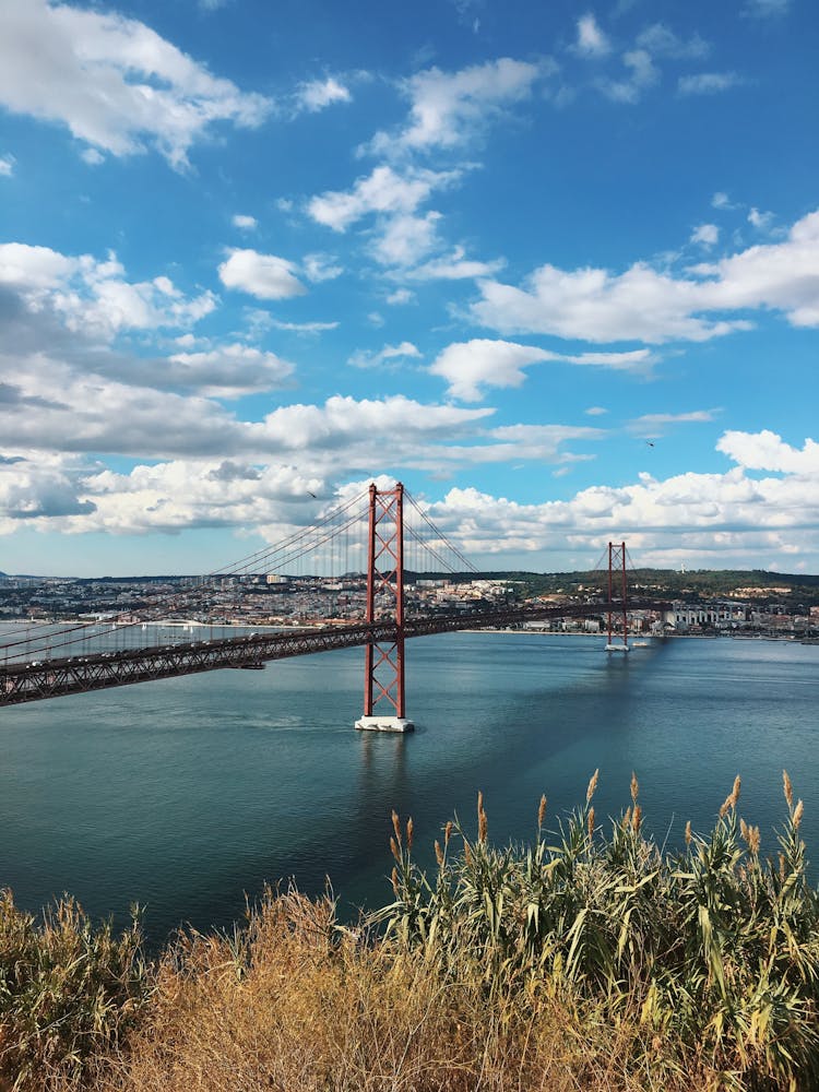 Red And Black Bridge