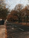 秋天的树木和落叶点缀着宁静的城市街道，完美地融合了自然与城市的主题