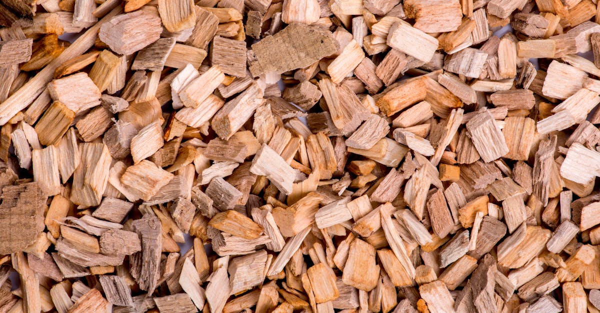 財經主編:台晶片不會危及美經濟,相互依賴反而更安全