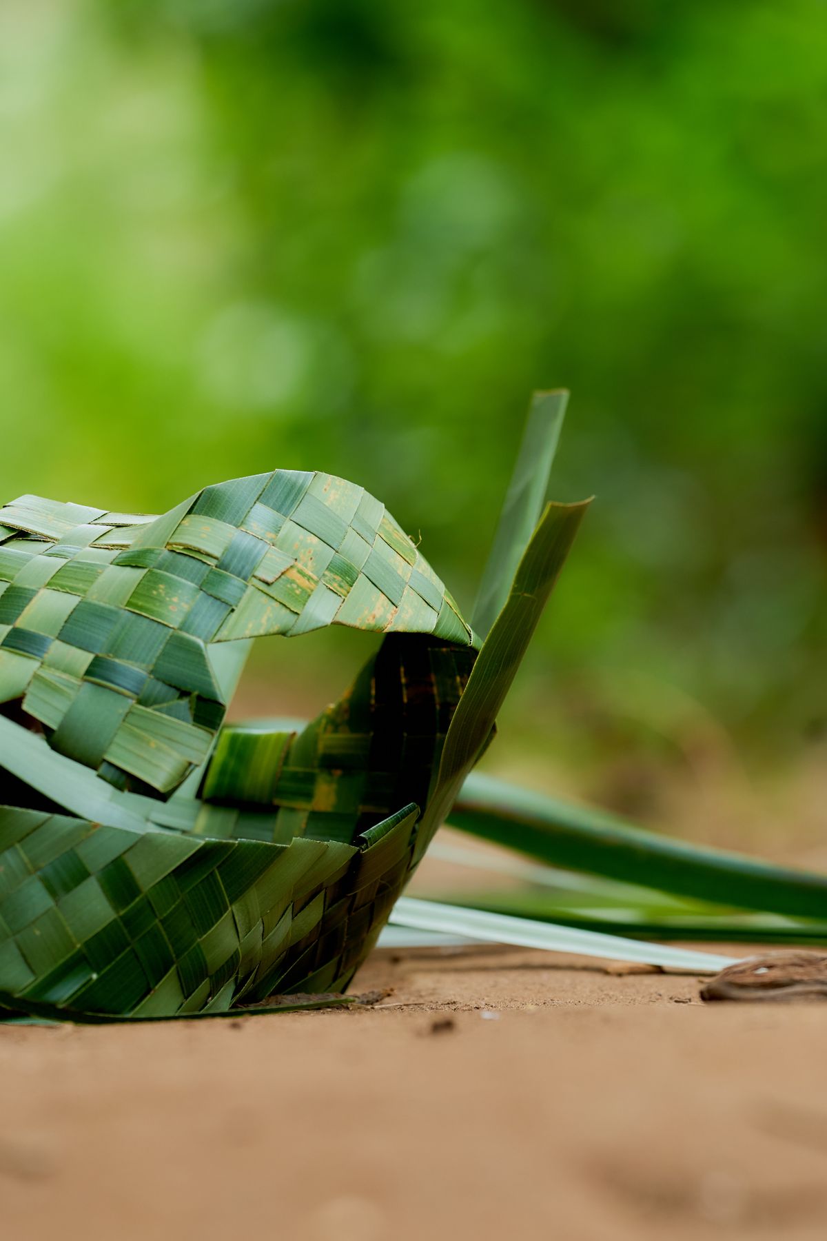 Traditional handmade green palm leaf basket outdoors