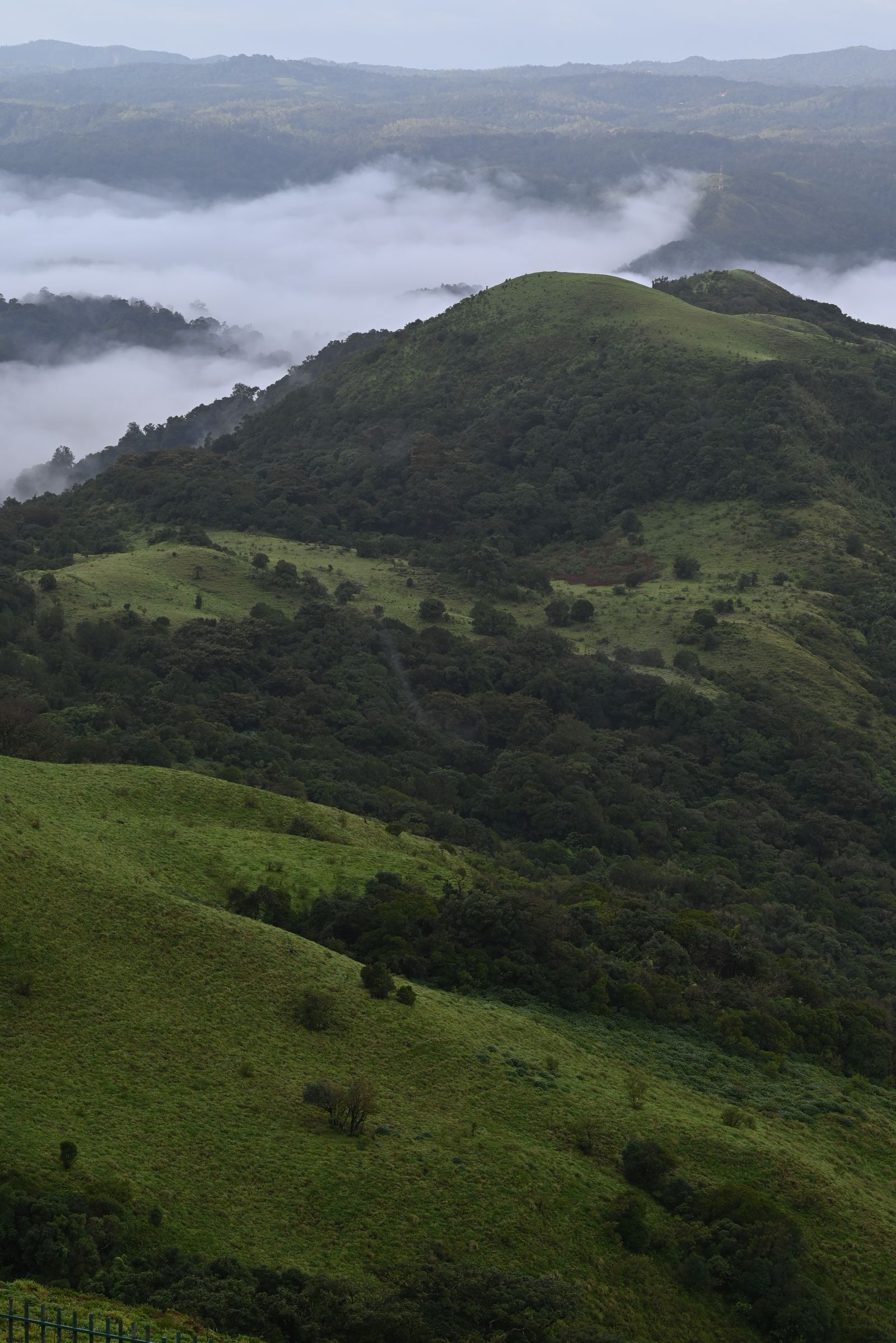 Coorg Weekend Escape
