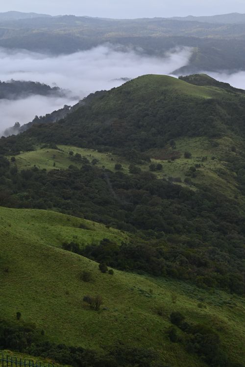 Free A breathtaking aerial view of the lush, mist-covered hills in Madikeri, Karnataka, India. Stock Photo