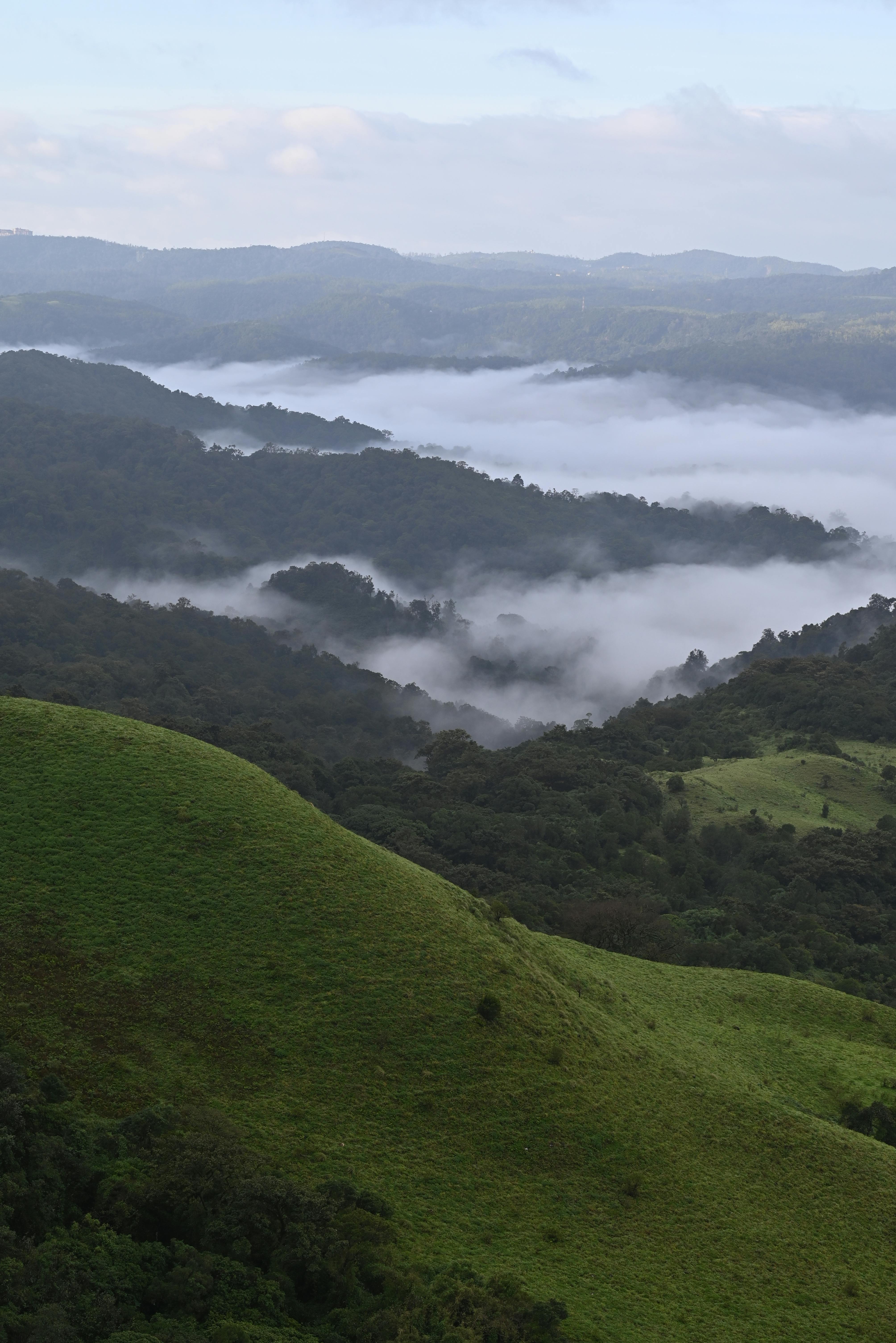 Ooty–Kodaikanal Trail