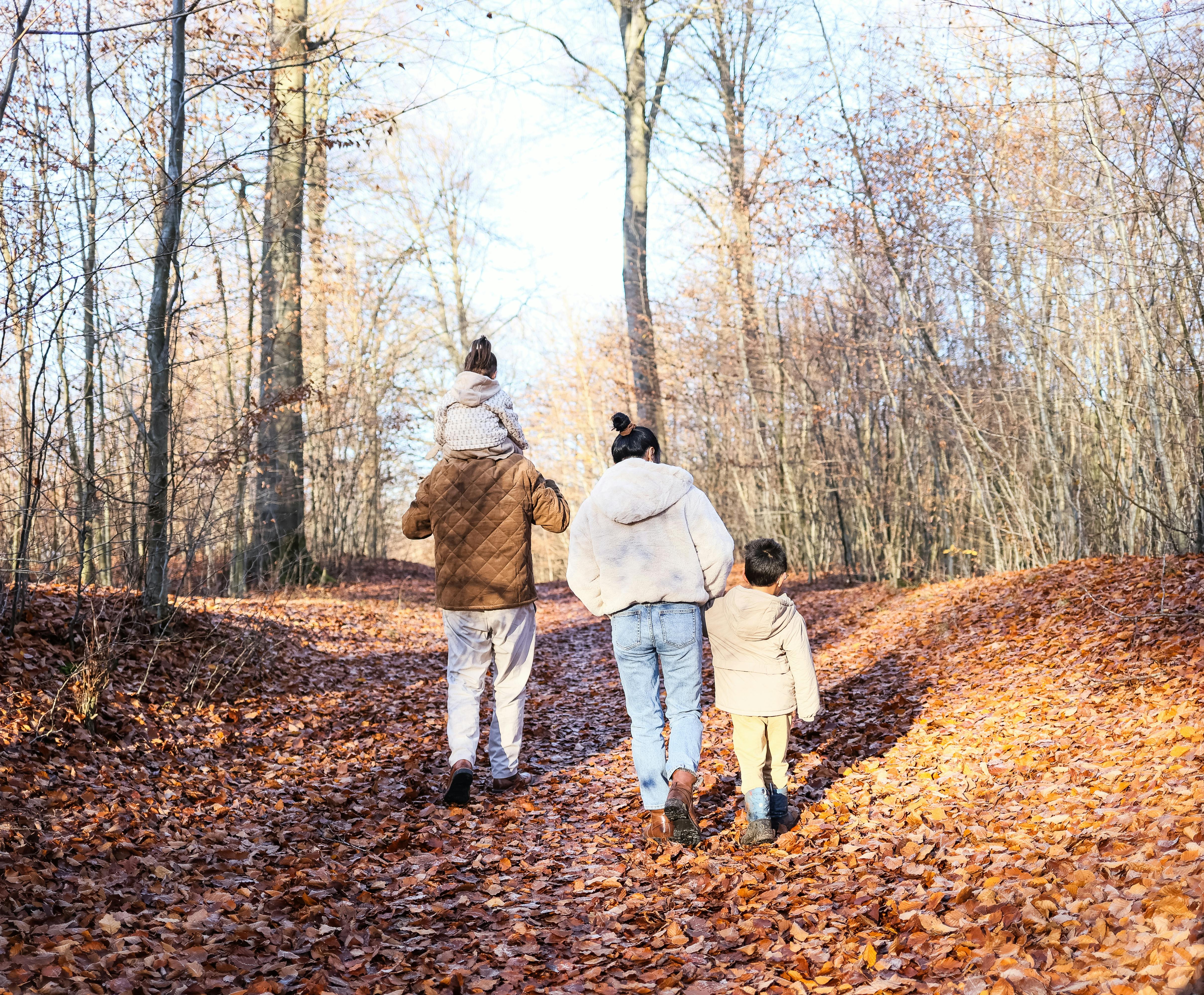 family law, child custody, alimony, legal separation, prenuptial agreements, divorce and family law, divorce law — Photo by F