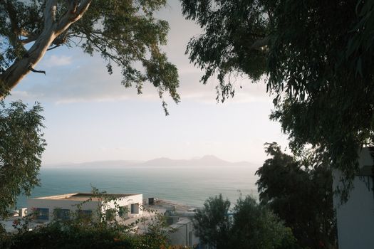 Vue pittoresque de la mer Méditerranée et de bâtiments encadrés par les arbres à Carthage, en Tunisie.