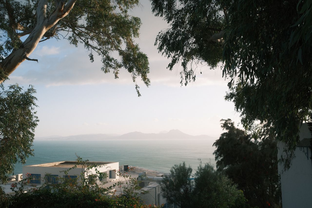 a picturesque view of the mediterranean sea and buildings framed by tr