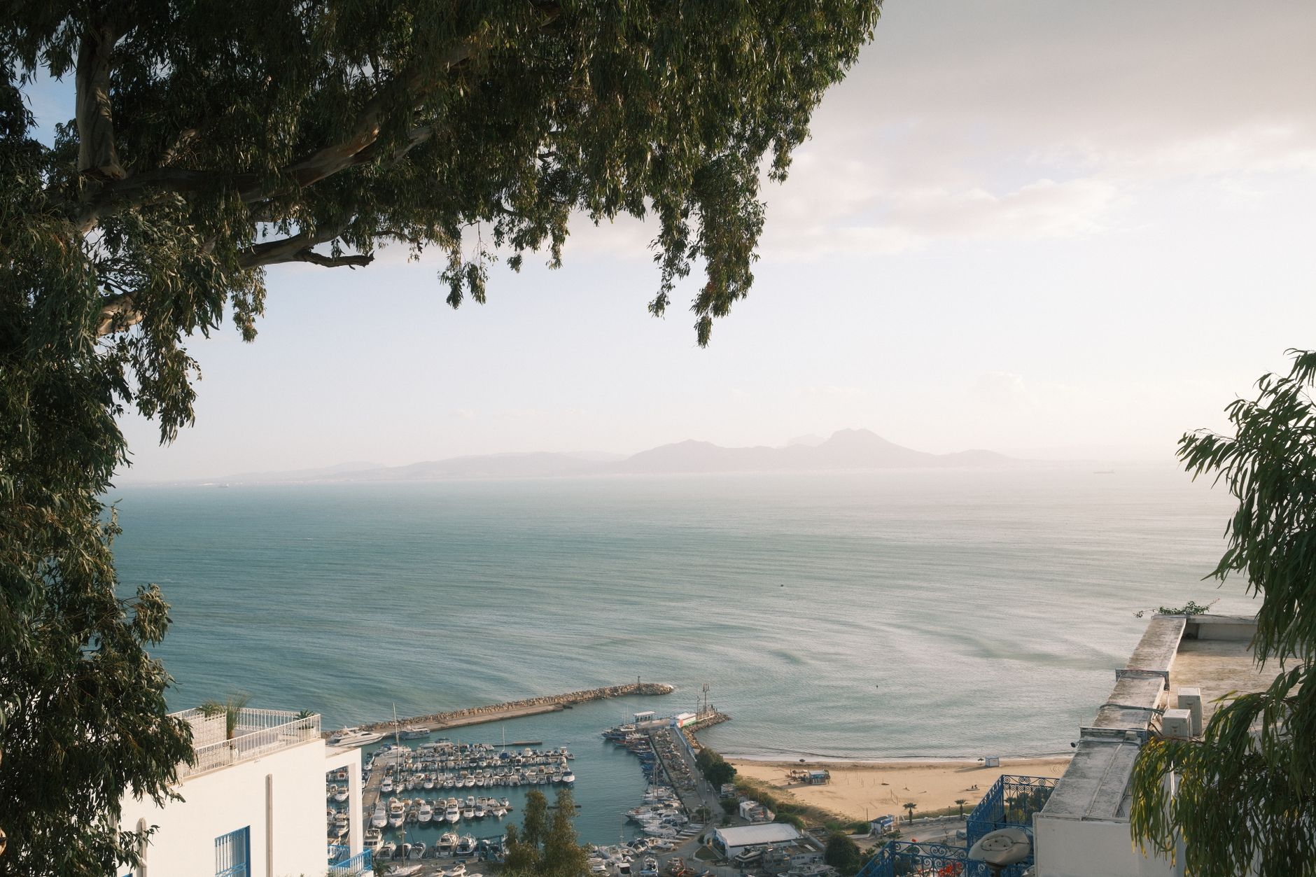 Sidi Bou Said Marina