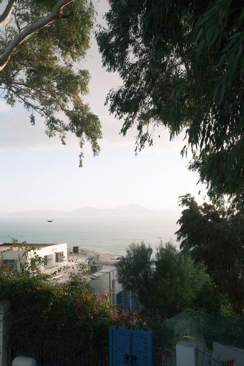 Free Serene landscape of Carthage with Mediterranean Sea visible through lush greenery under a warm summer sky. Stock Photo