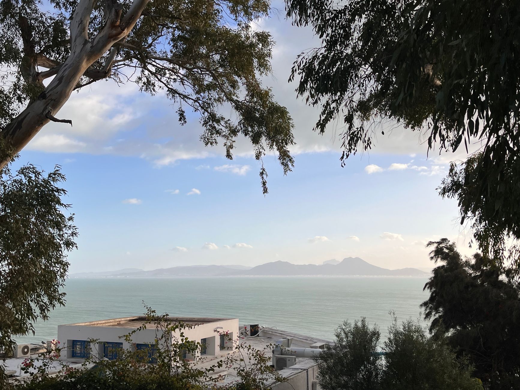Serene coastal view with mountains, trees, and blue sky at Carthage, Tunisia.