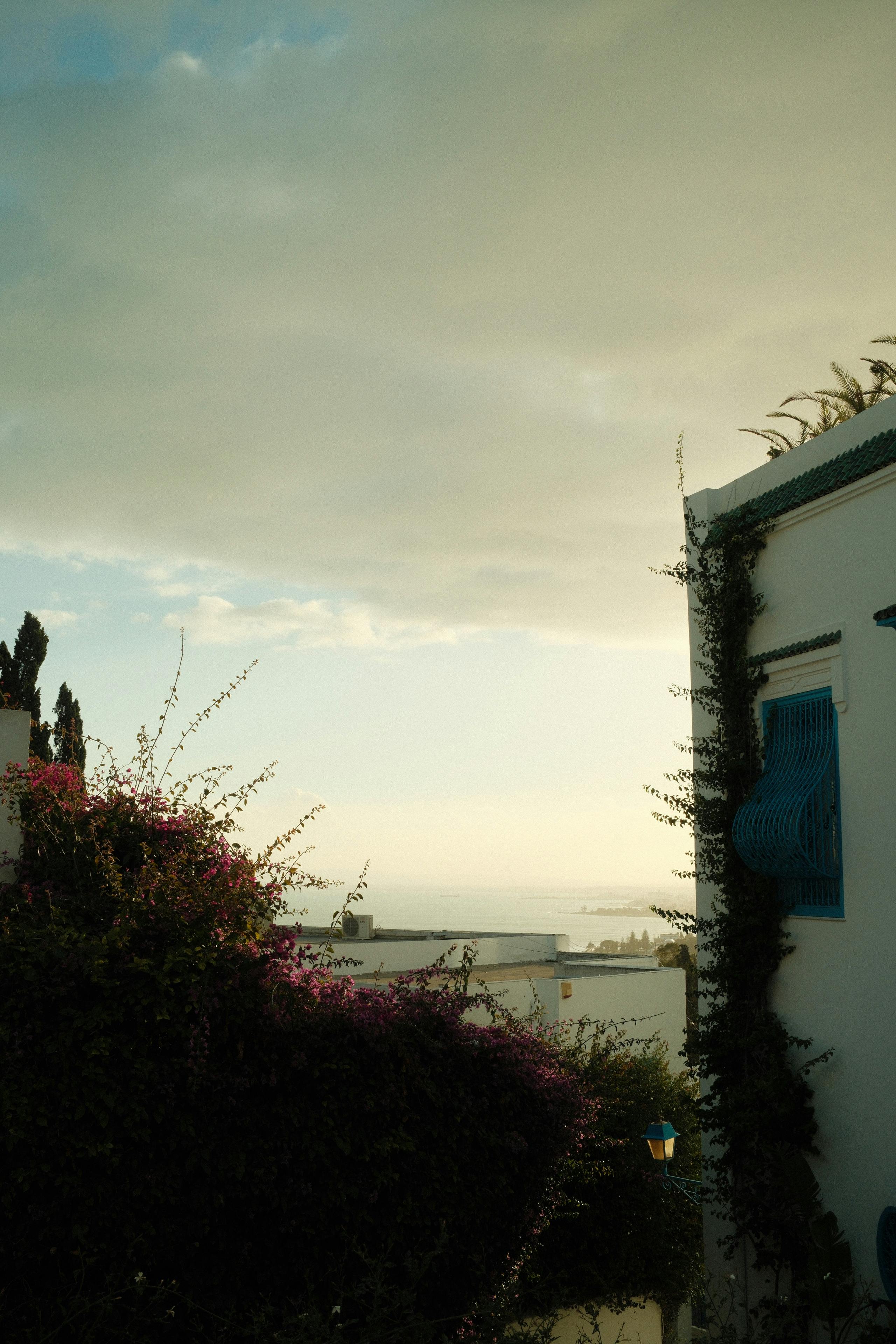 Charming street view of Sidi Bou Said with traditional white and blue buildings overlooking the sea.