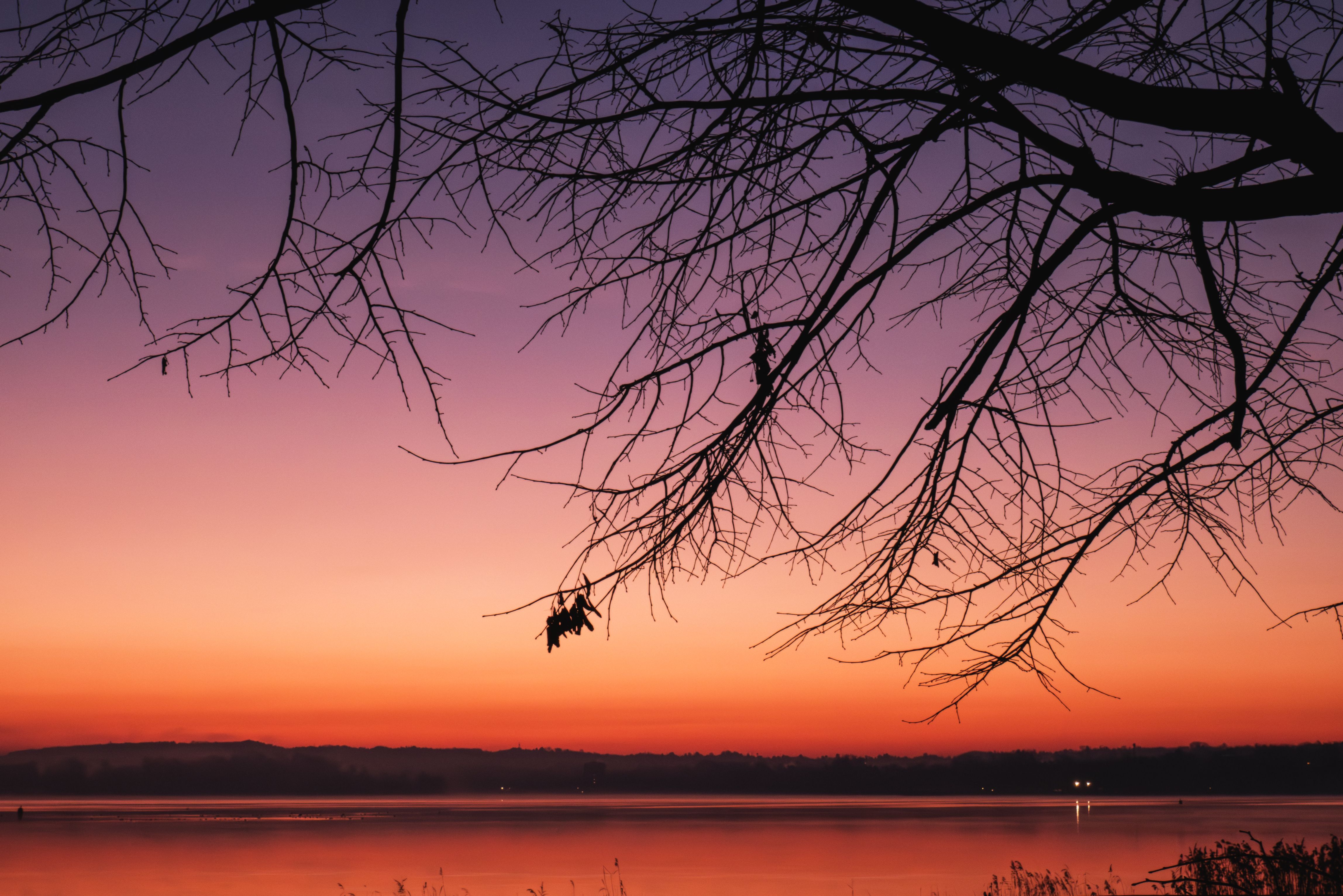 Serene Sunset Over Tranquil Lake with Bare Branches · Free Stock Photo