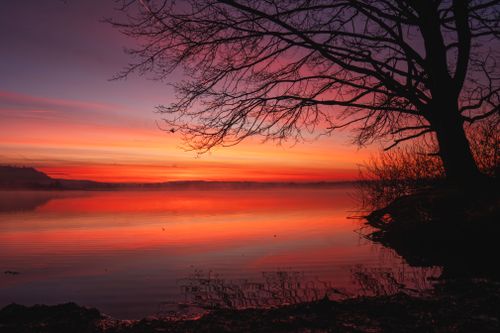 Free Beautiful sunset scene over a calm lake with silhouette of tree branches. Stock Photo