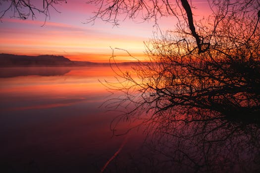 Capture of a vibrant sunset reflecting on a calm lake with silhouetted branches in the foreground.