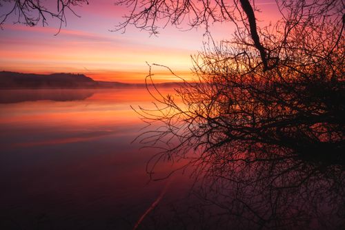 Free Capture of a vibrant sunset reflecting on a calm lake with silhouetted branches in the foreground. Stock Photo