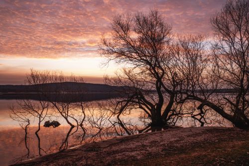 Free Beautiful sunset over a calm lake with silhouetted trees reflecting in the water. Stock Photo