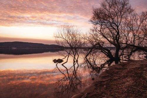 Free A tranquil sunset over a lake with trees reflecting in calm water, creating a peaceful and serene landscape. Stock Photo