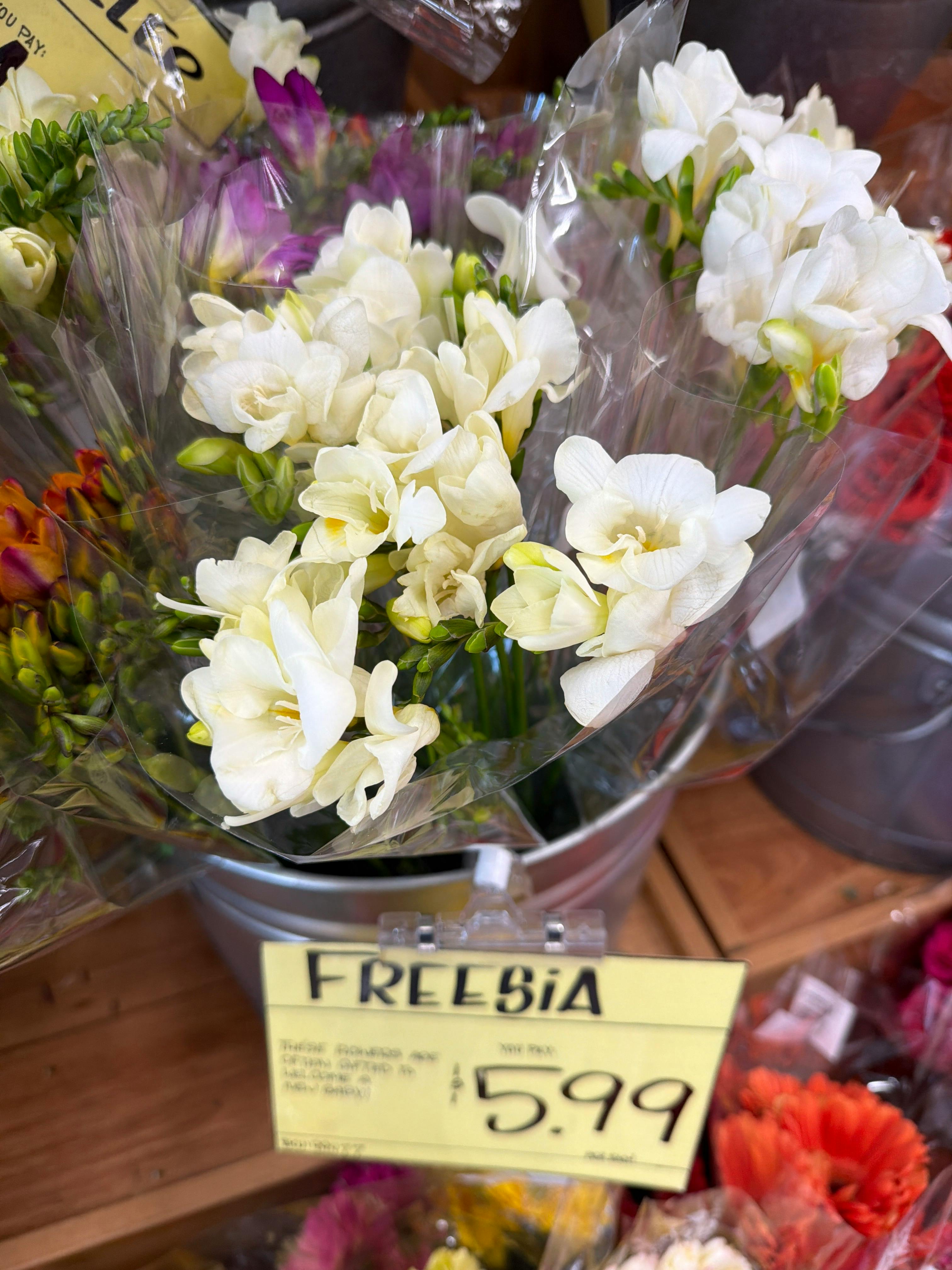 5 Buy Sell PLR Lessons Doc