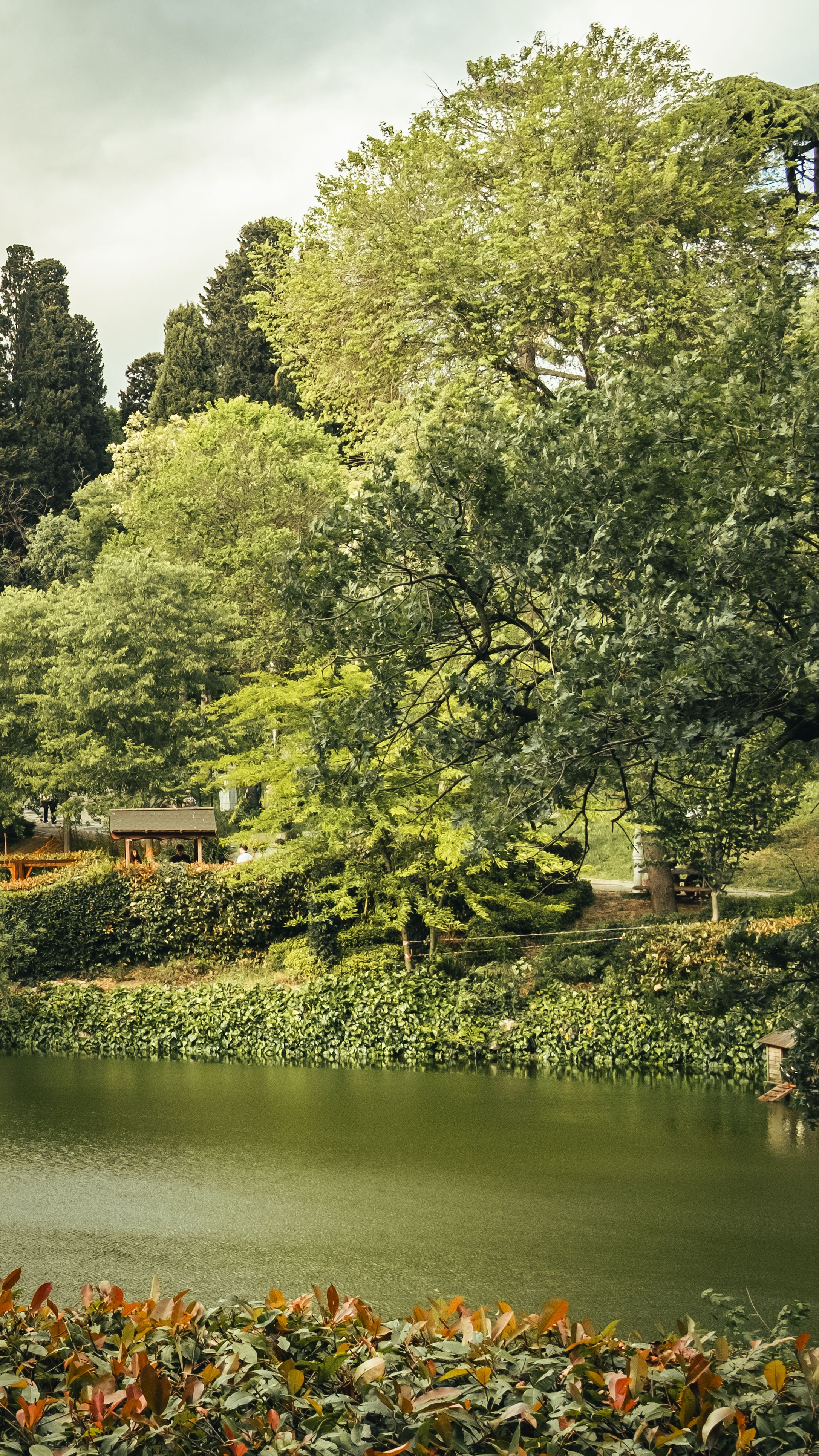 A lake surrounded by trees and bushes · Free Stock Photo