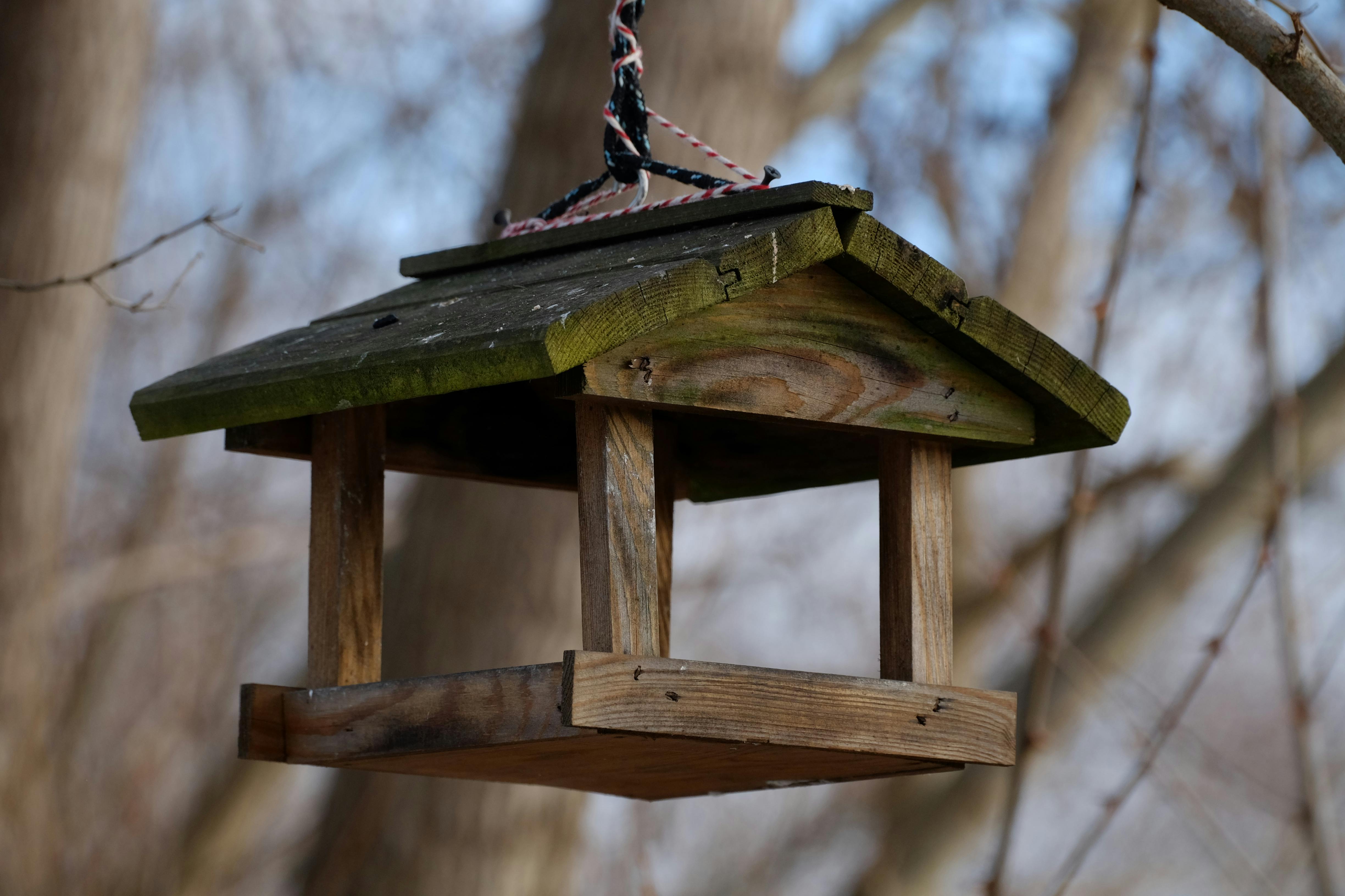 Nachhaltiges DIY: Einfacher Vogelh&auml;uschen-Bau f&uuml;r Anf&auml;nger - Ergebnis