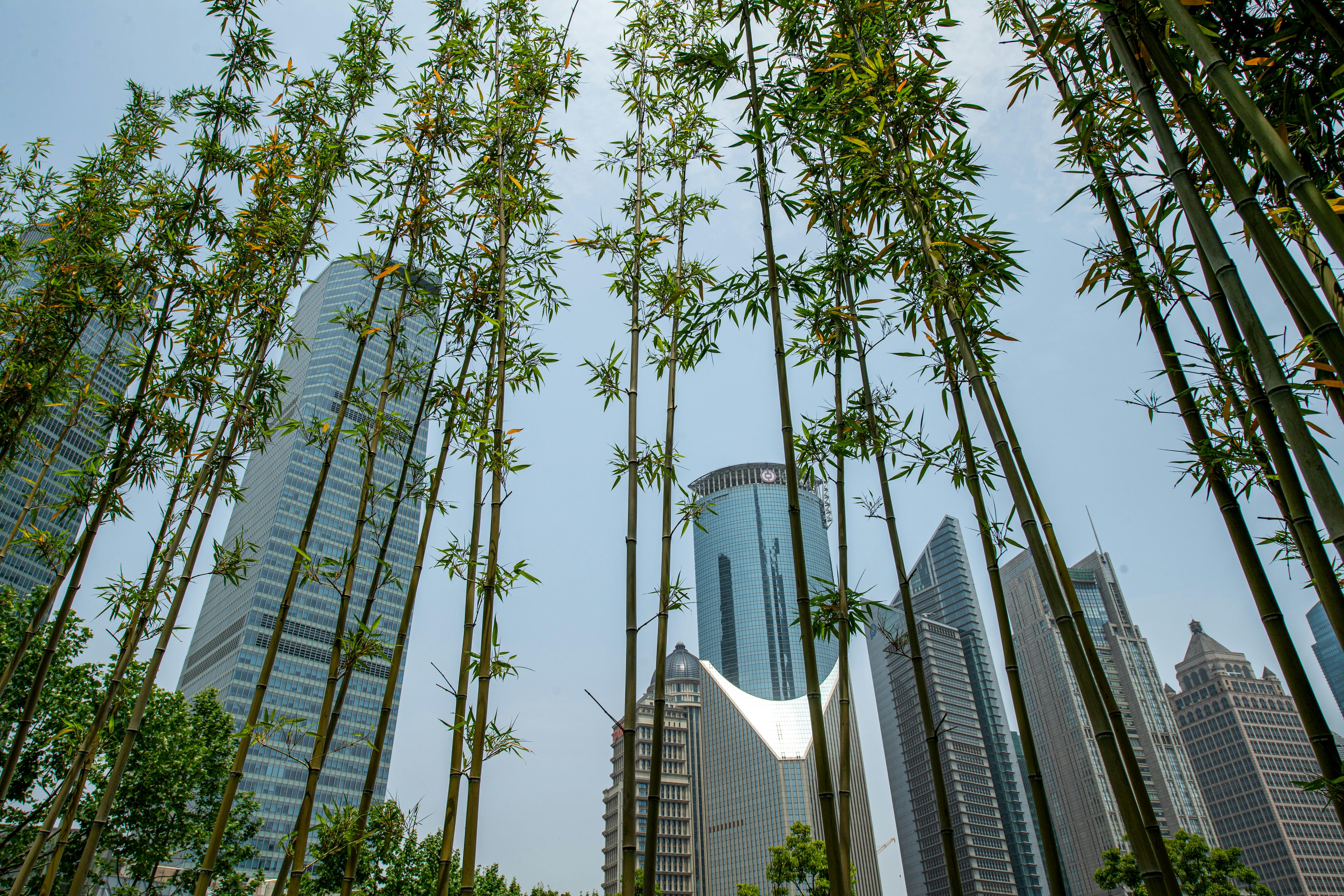 corporate governance esg — Photo by Margo Evardson on Pexels