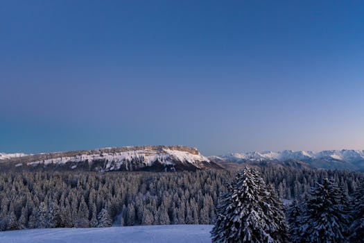 Serene view of snow-covered mountains and forests in Auvergne-Rhône-Alpes, France.